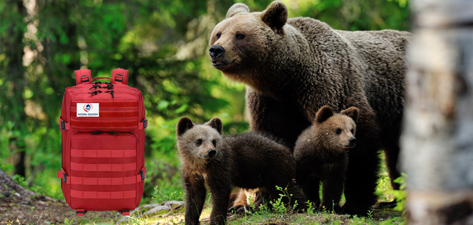 photo of momma bear and two cubs next to a Momma Bear Go Bag Essentials Kit
