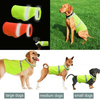 Pet Prior Reflective Dog Vest